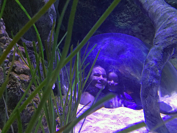 In the bubble at playing at Sea Life Aquarium